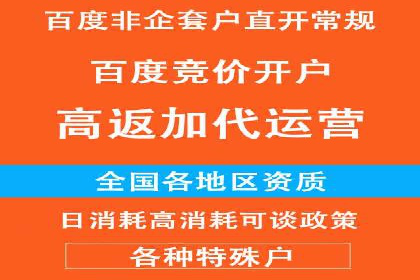 百度运营推广全攻略：成功案例深度剖析